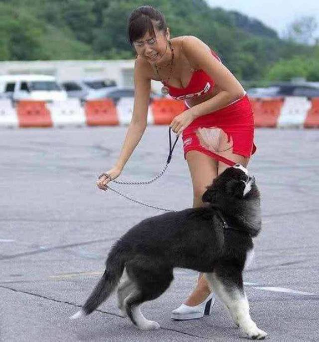 daily picdump 97 pics 24.html - 97 HD Photos | Premium Gallery 2017