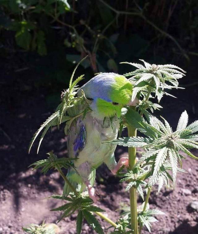 daily picdump 97 pics 24.html - 97 HD Photos | Premium Gallery 2017