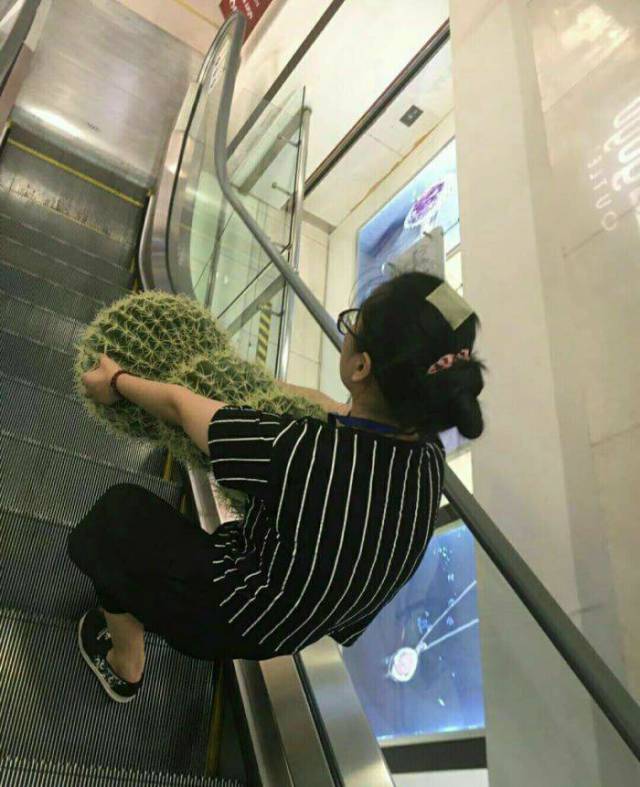 daily picdump 97 pics 24.html - 97 HD Photos | Premium Gallery 2017