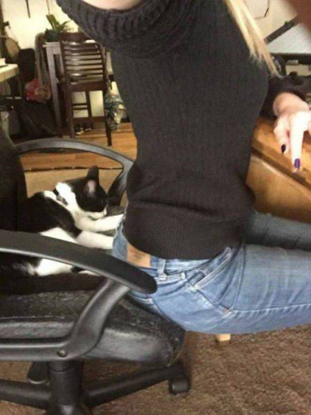 daily picdump 97 pics 24.html - 97 HD Photos | Premium Gallery 2017