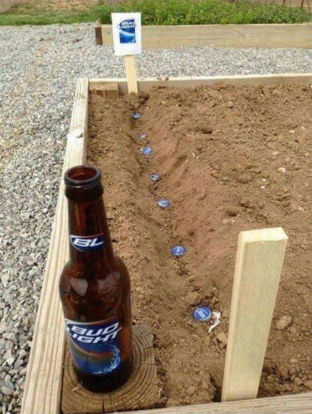 daily picdump 97 pics 24.html - 97 HD Photos | Premium Gallery 2017