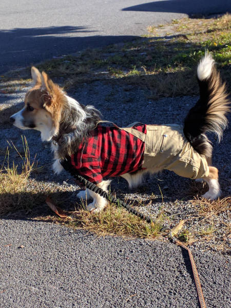 morning picdump 50 pics 17.html - 50 HD Photos | Premium Gallery 2017