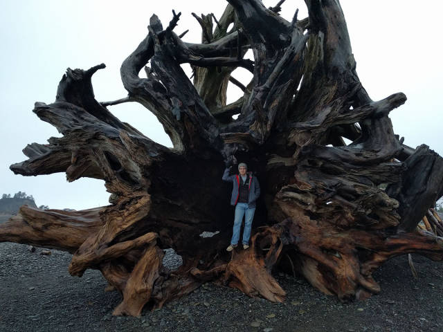 morning picdump 50 pics 17.html - 50 HD Photos | Premium Gallery 2017