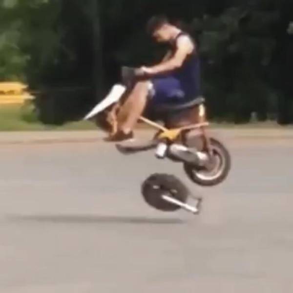 morning picdump 50 pics 17.html - 50 HD Photos | Premium Gallery 2017