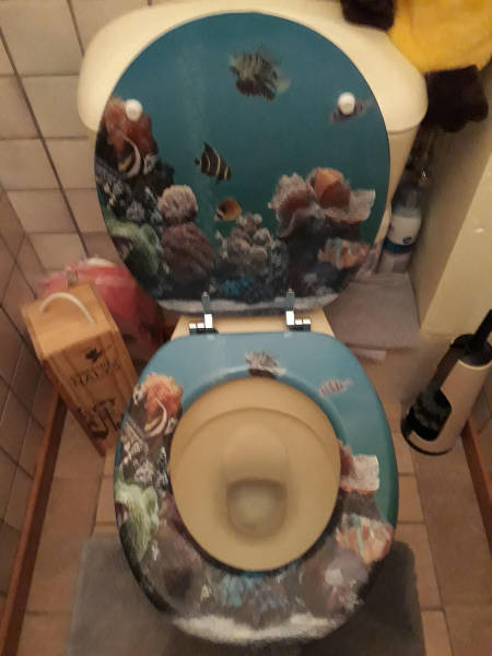 morning picdump 50 pics 17.html - 50 HD Photos | Premium Gallery 2017