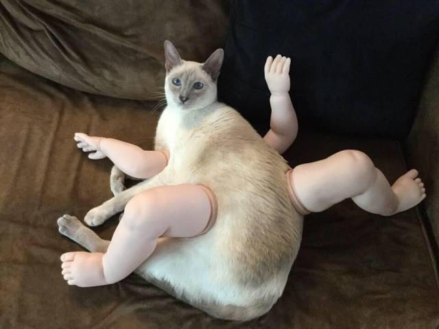 morning picdump 50 pics 17.html - 50 HD Photos | Premium Gallery 2017