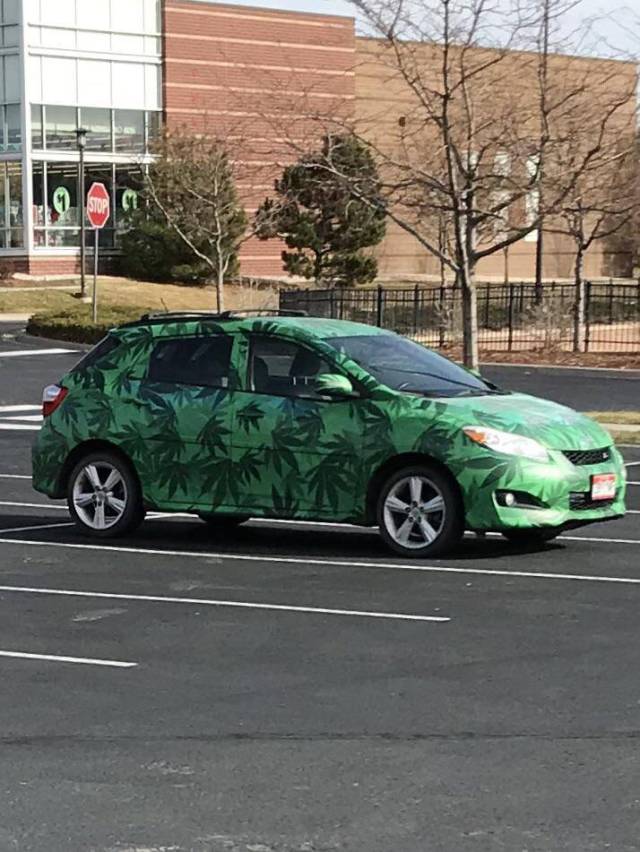 morning picdump 50 pics 17.html - 50 HD Photos | Premium Gallery 2017