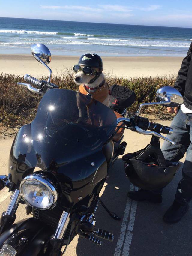 morning picdump 50 pics 17.html - 50 HD Photos | Premium Gallery 2017