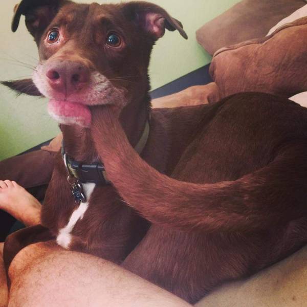 daily picdump 101 pics 34.html - 101 HD Photos | Premium Gallery 2017