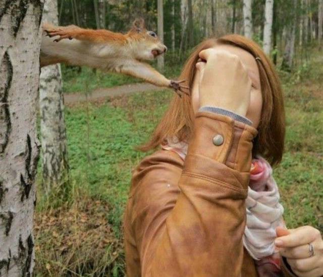 daily picdump 101 pics 34.html - 101 HD Photos | Premium Gallery 2017