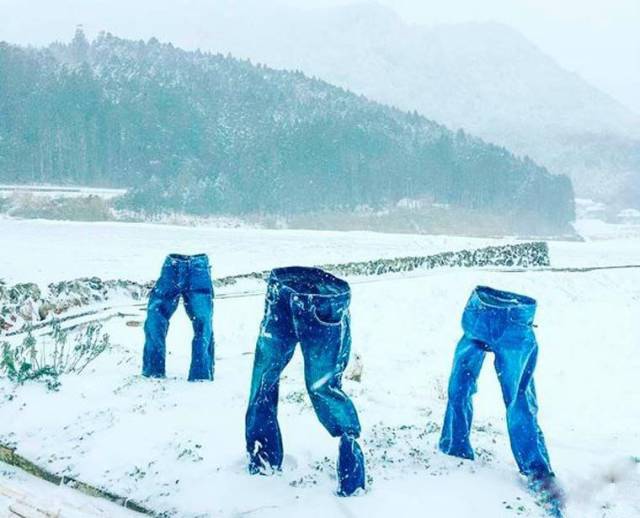 daily picdump 101 pics 34.html - 101 HD Photos | Premium Gallery 2017