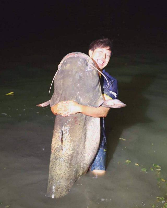 daily picdump 101 pics 34.html - 101 HD Photos | Premium Gallery 2017