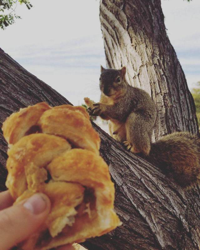 daily picdump 101 pics 34.html - 101 HD Photos | Premium Gallery 2017