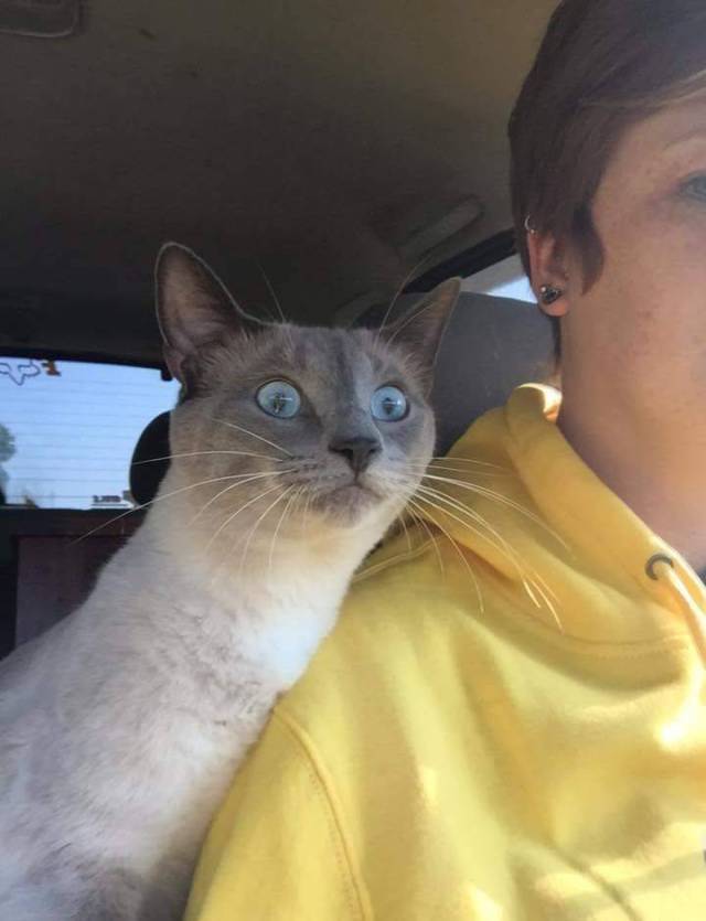 daily picdump 101 pics 34.html - 101 HD Photos | Premium Gallery 2017