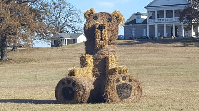 morning picdump 51 pics 8.html - 51 HD Photos | Premium Gallery 2017