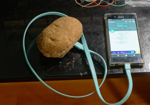 morning picdump 51 pics 8.html - 51 HD Photos | Premium Gallery 2017