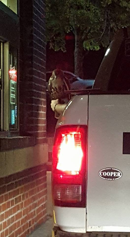 morning picdump 51 pics 8.html - 51 HD Photos | Premium Gallery 2017