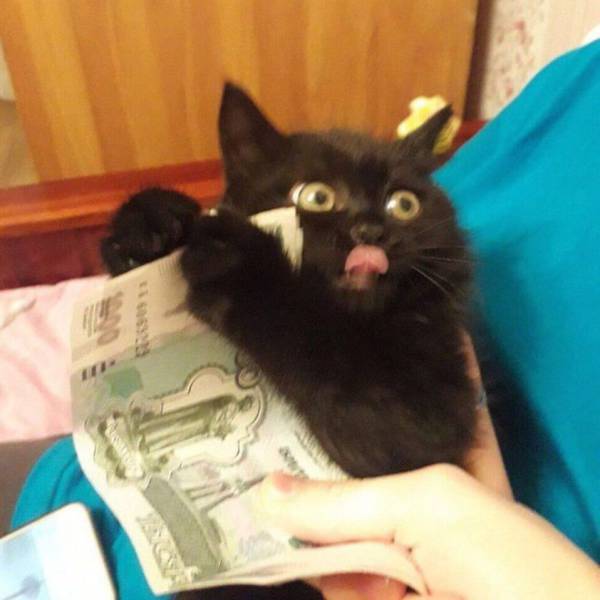 daily picdump 99 pics 13.html - 99 HD Photos | Premium Gallery 2017