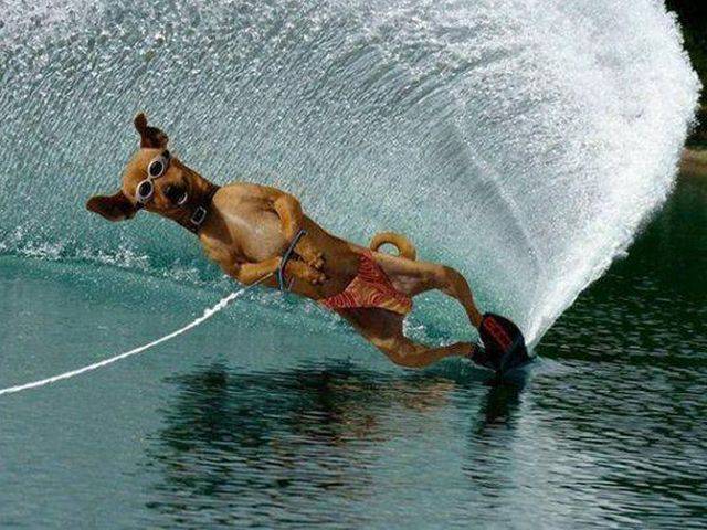 daily picdump 99 pics 13.html - 99 HD Photos | Premium Gallery 2017