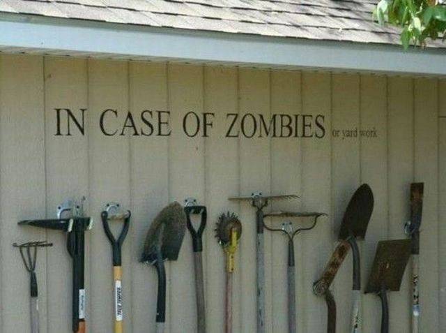 daily picdump 99 pics 13.html - 99 HD Photos | Premium Gallery 2017