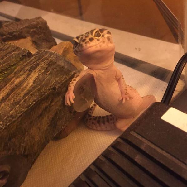 daily picdump 99 pics 13.html - 99 HD Photos | Premium Gallery 2017