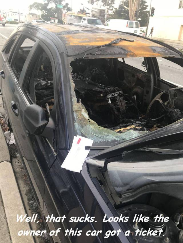 daily picdump 99 pics 13.html - 99 HD Photos | Premium Gallery 2017