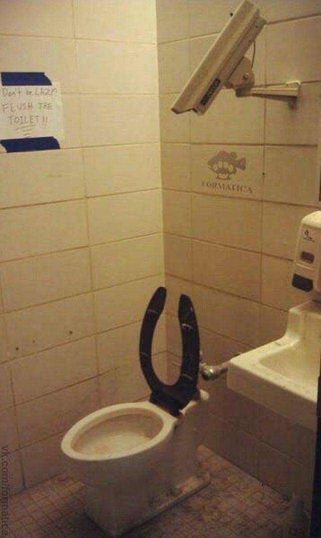 daily picdump 99 pics 13.html - 99 HD Photos | Premium Gallery 2017