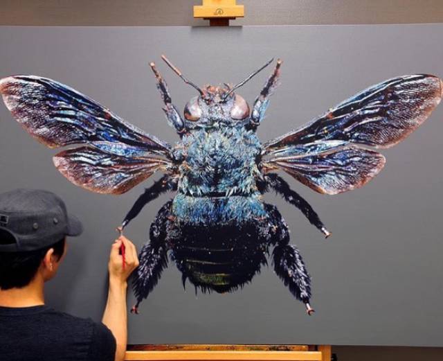 morning picdump 50 pics 17.html - 50 HD Photos | Premium Gallery 2017