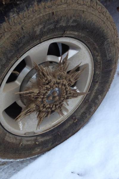 morning picdump 50 pics 17.html - 50 HD Photos | Premium Gallery 2017