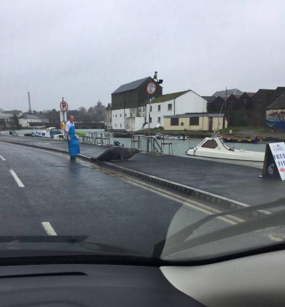 morning picdump 50 pics 17.html - 50 HD Photos | Premium Gallery 2017