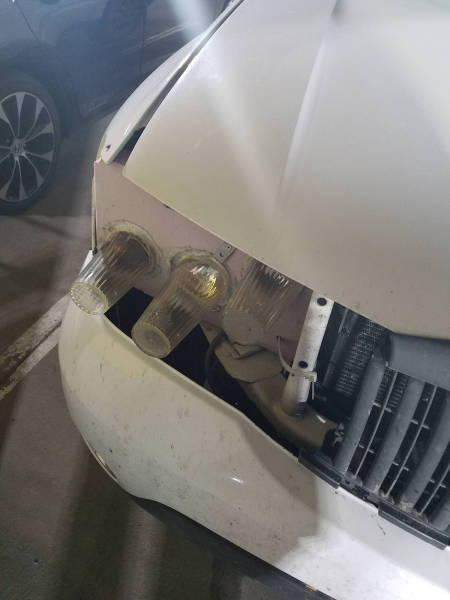 morning picdump 50 pics 17.html - 50 HD Photos | Premium Gallery 2017