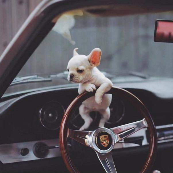 daily picdump 99 pics 30.html - 99 HD Photos | Premium Gallery 2017