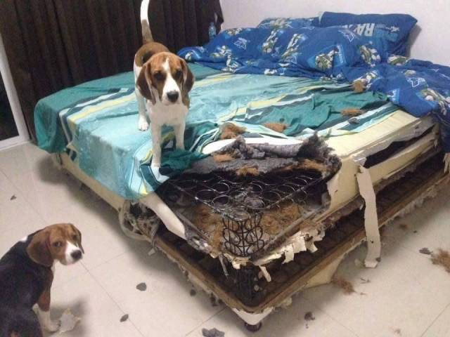 daily picdump 99 pics 30.html - 99 HD Photos | Premium Gallery 2017