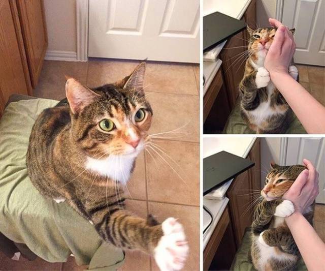 daily picdump 99 pics 30.html - 99 HD Photos | Premium Gallery 2017