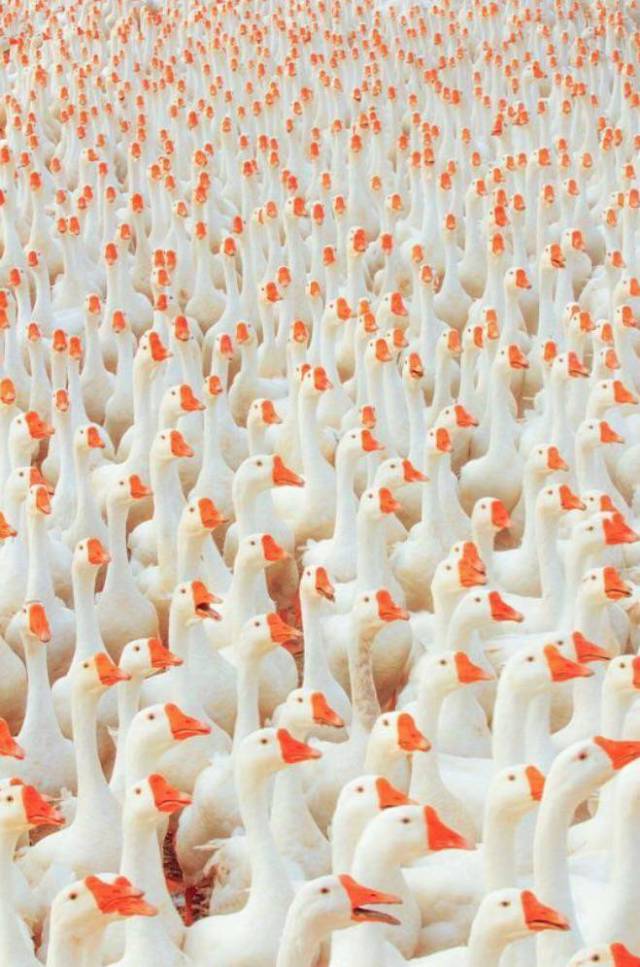 daily picdump 99 pics 30.html - 99 HD Photos | Premium Gallery 2017