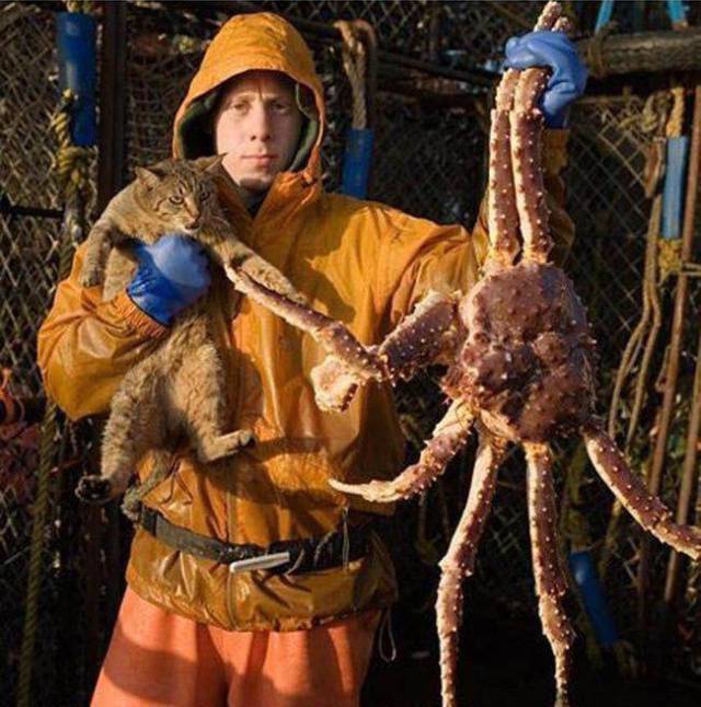 daily picdump 99 pics 30.html - 99 HD Photos | Premium Gallery 2017