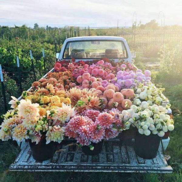 morning picdump 51 pics 17.html - 51 HD Photos | Premium Gallery 2017