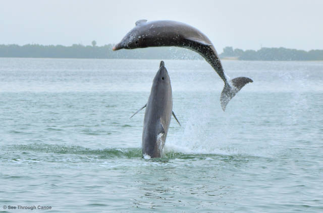 morning picdump 51 pics 17.html - 51 HD Photos | Premium Gallery 2017