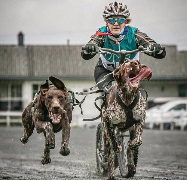 morning picdump 51 pics 17.html - 51 HD Photos | Premium Gallery 2017