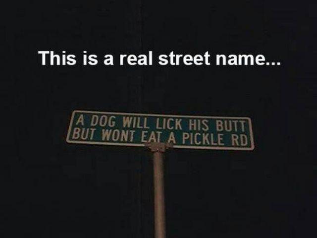 daily picdump weekend edition 65 pics 30.html - 65 HD Photos | Premium Gallery 2017