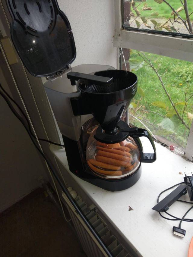 Daily Picdump [WEEKEND EDITION]