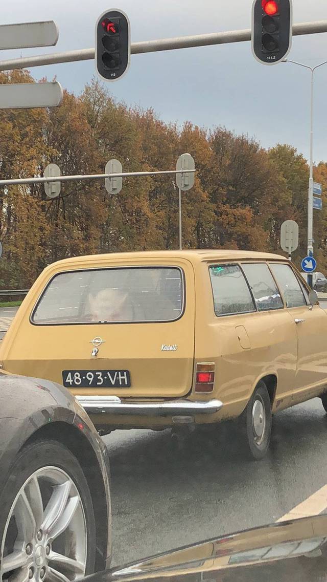 daily picdump weekend edition 65 pics 30.html - 65 HD Photos | Premium Gallery 2017