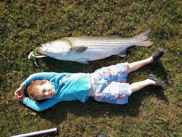 daily picdump 97 pics 41.html - 97 HD Photos | Premium Gallery 2017