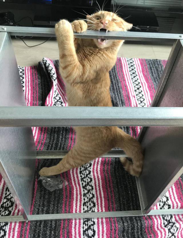 daily picdump 97 pics 41.html - 97 HD Photos | Premium Gallery 2017