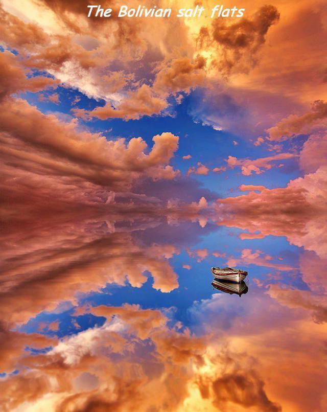 daily picdump 97 pics 41.html - 97 HD Photos | Premium Gallery 2017