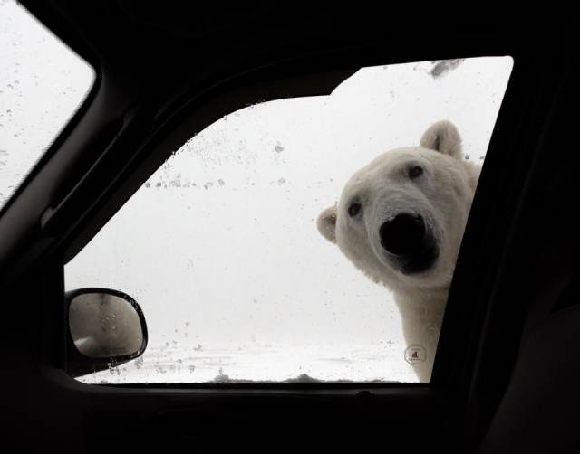 Daily Picdump