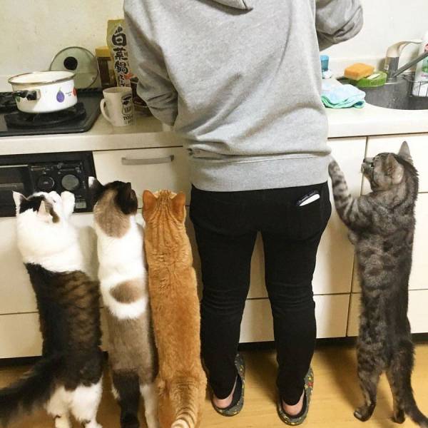 Daily Picdump