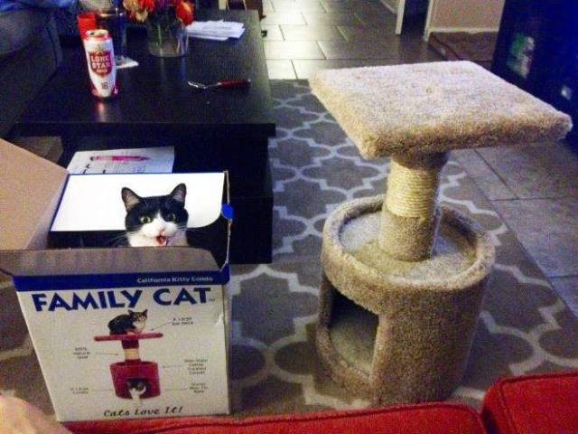 Daily Picdump