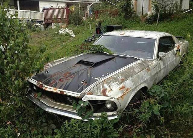 daily picdump 94 pics 1.html - 94 HD Photos | Premium Gallery 2017