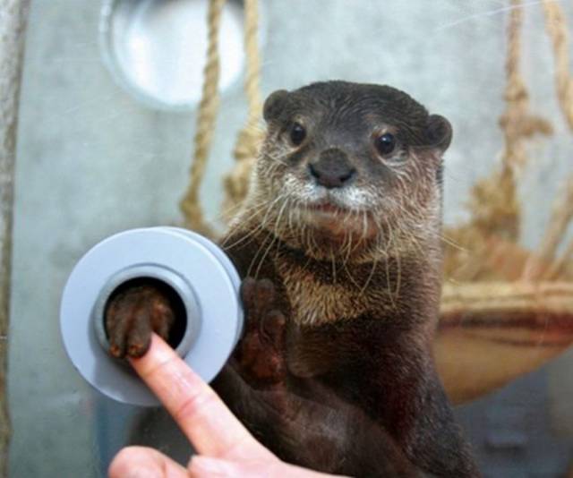 daily picdump 94 pics 1.html - 94 HD Photos | Premium Gallery 2017
